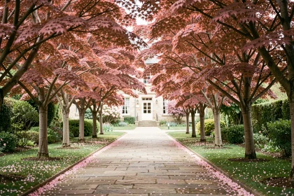 Allée de jardin bordée d'arbres à feuilles roses formant un tunnel naturel sur un chemin en pierre